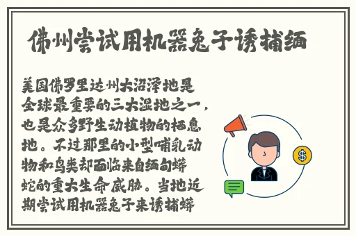最新偷拍黑料不打烊
